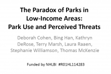 The Paradox of Parks in Low-Income Areas: Park Use and Incivilities